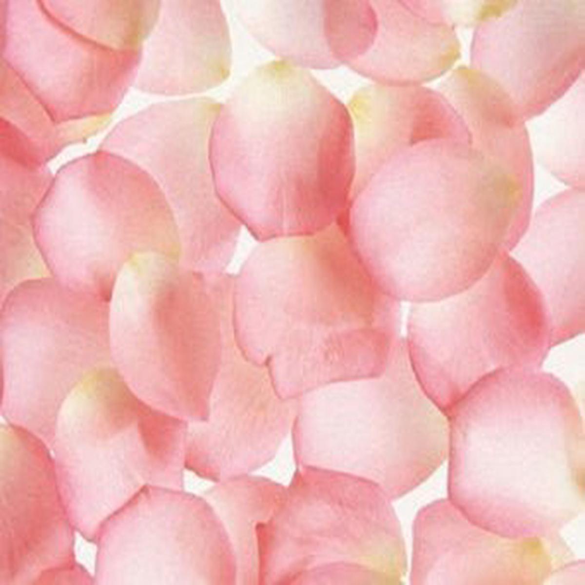 Pink Fabric Rose Petals | 400 ct