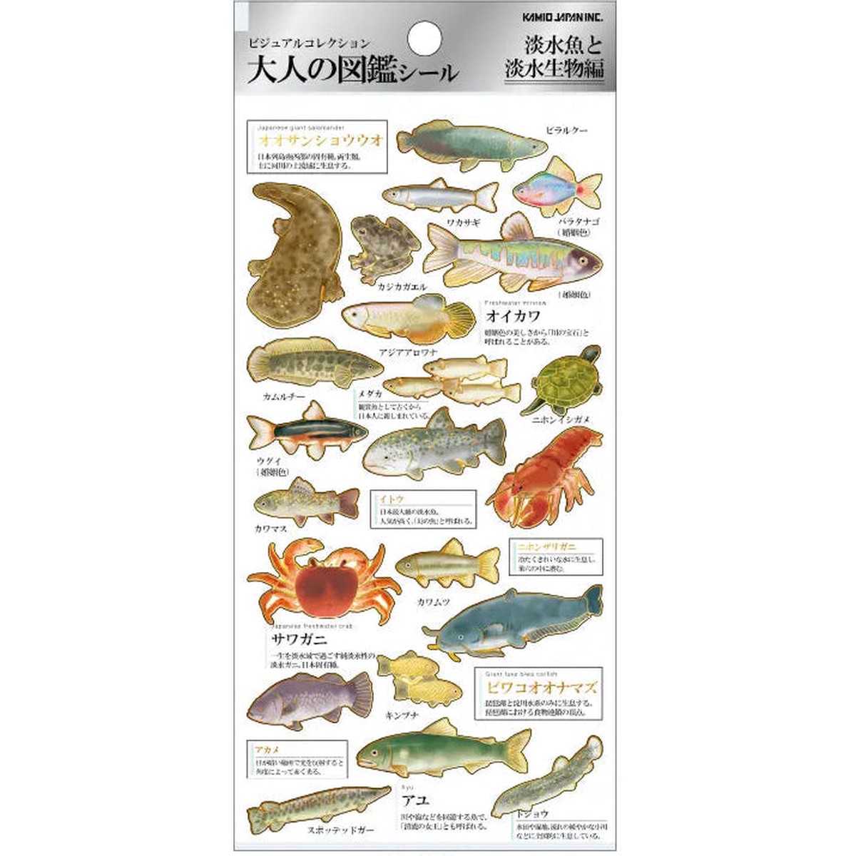 Kamio Japan Picture Book Sticker Sheet - Freshwater Fish
